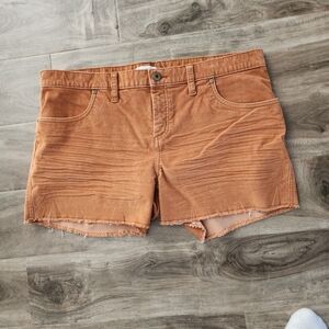 Carve Designs Women's Cinnamon Corduroy Shorts Mid Rise 4 Inch